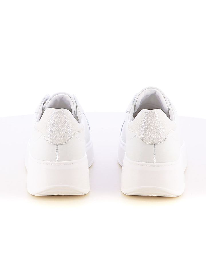 Sneakers stringate donna ARMATA DI MARE AMDS51H27 bianco argento | Costa Superstore