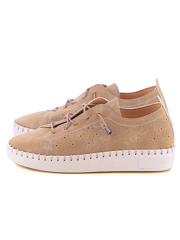Sneakers stringate donna ENRICO COVERI ECW514B65 marrone | Costa Superstore