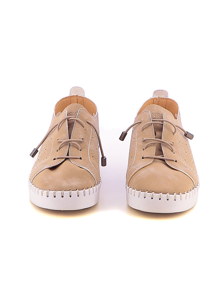 Sneakers stringate donna ENRICO COVERI ECW514B65 marrone | Costa Superstore