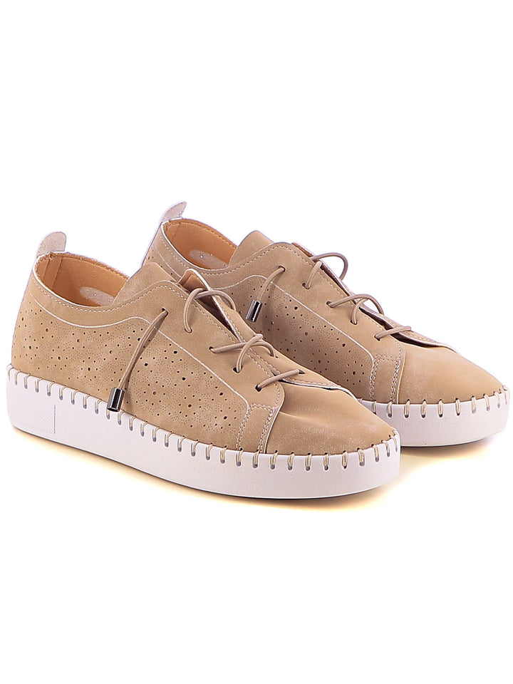 Sneakers stringate donna ENRICO COVERI ECW514B65 marrone | Costa Superstore