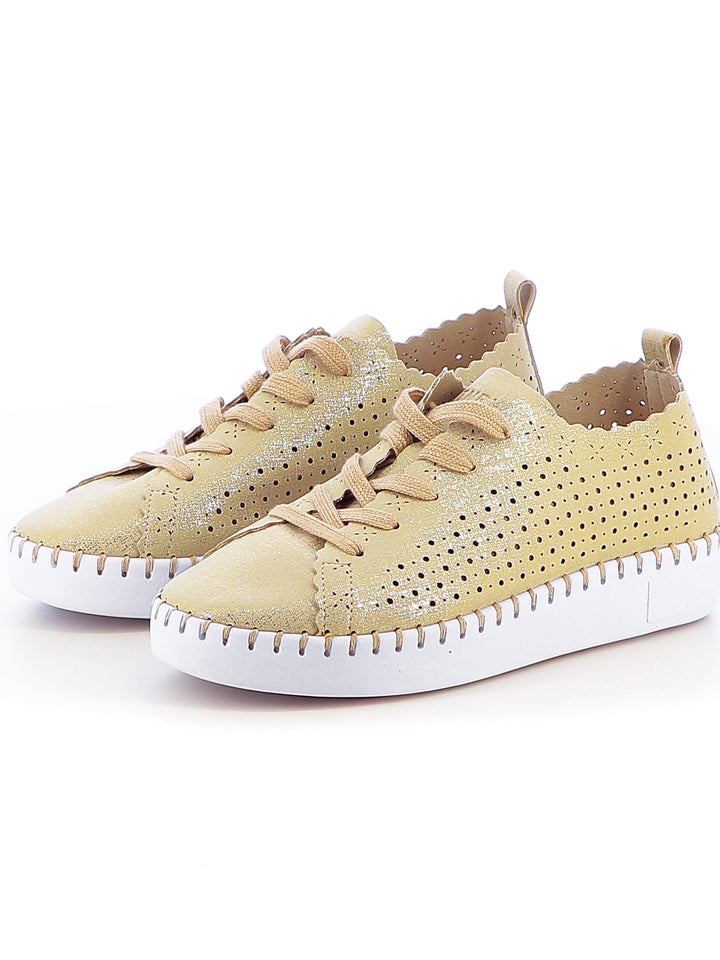 Sneakers stringate donna ENRICO COVERI ECW514B66 oro | Costa Superstore