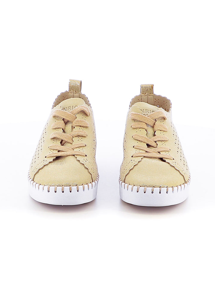 Sneakers stringate donna ENRICO COVERI ECW514B66 oro | Costa Superstore