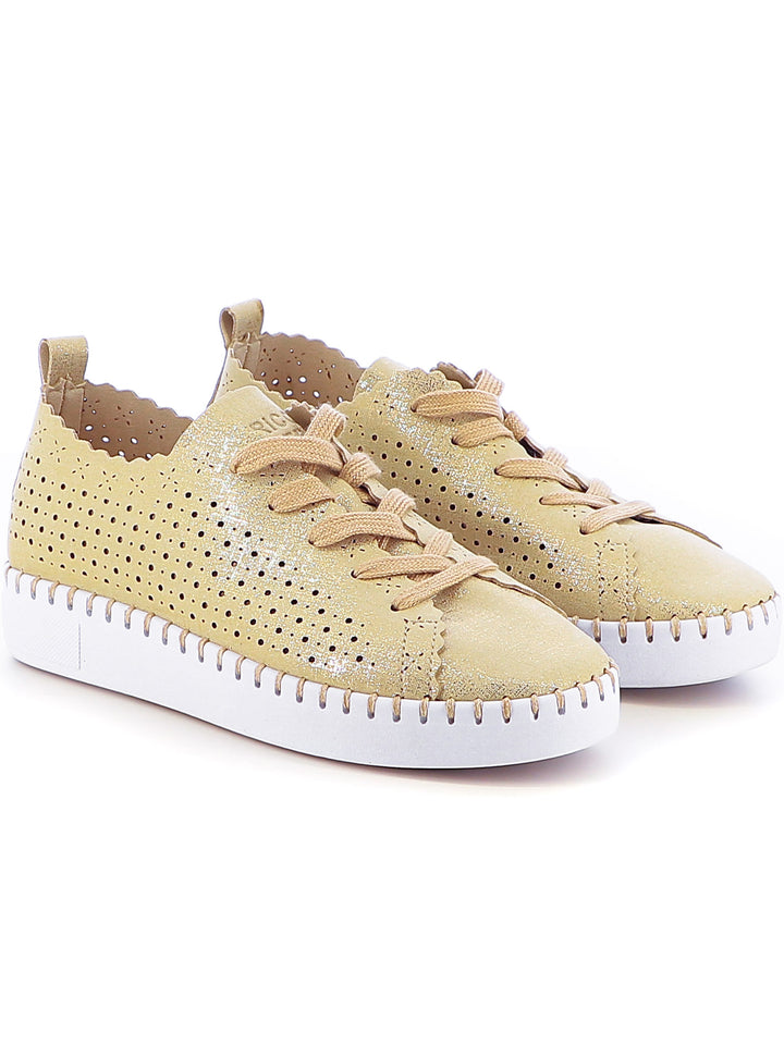 Sneakers stringate donna ENRICO COVERI ECW514B66 oro | Costa Superstore