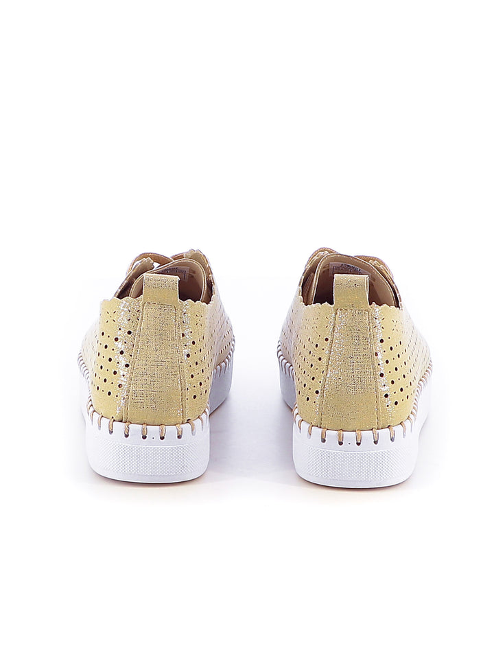 Sneakers stringate donna ENRICO COVERI ECW514B66 oro | Costa Superstore
