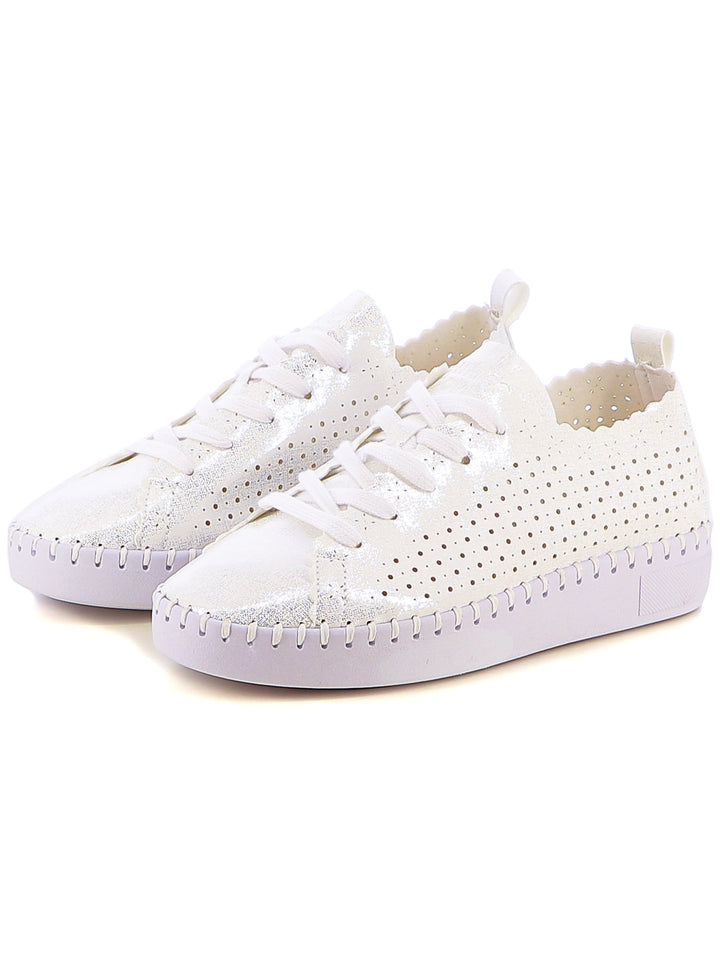 Sneakers stringate donna ENRICO COVERI ECW514B66 bianco | Costa Superstore