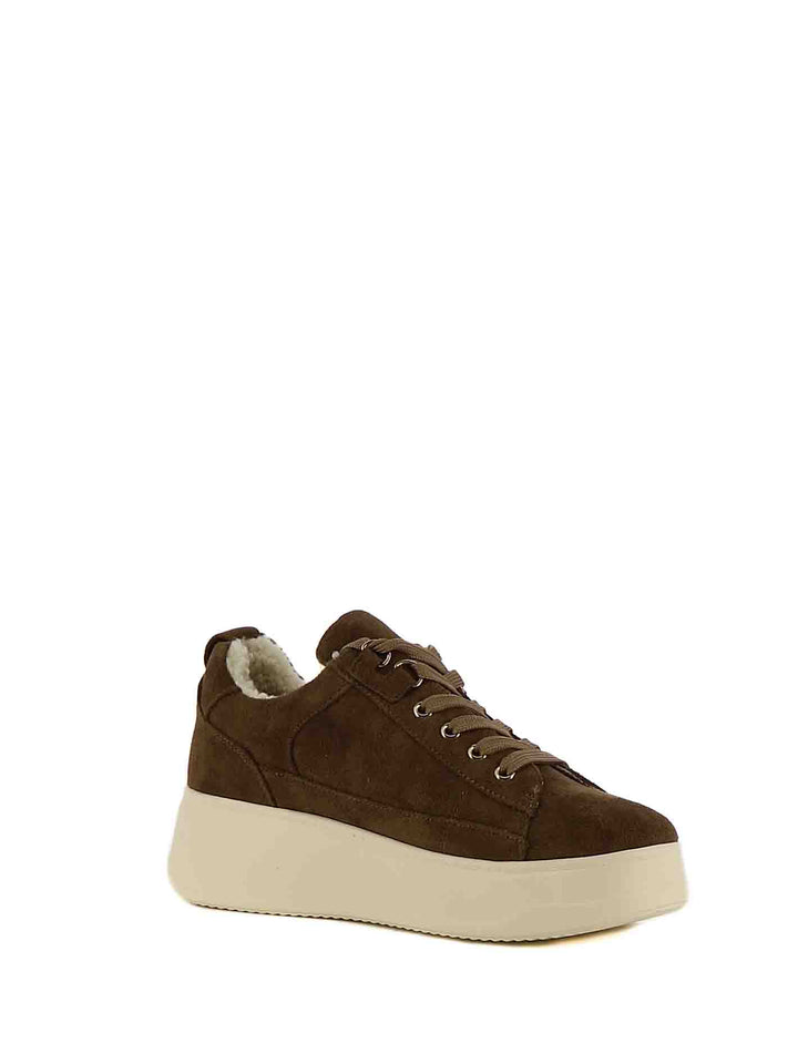 Sneakers stringate donna ARMATA DI MARE AMDW52H39 marrone | Costa Superstore