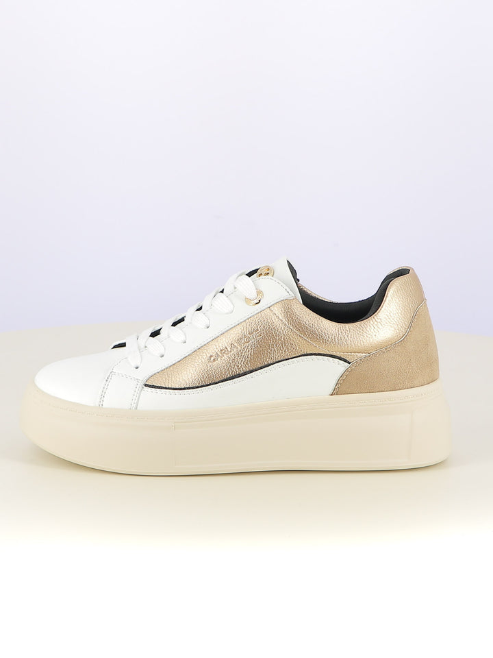 Sneakers stringate donna CARLA KOTE 3601K bianco oro | Costa Superstore