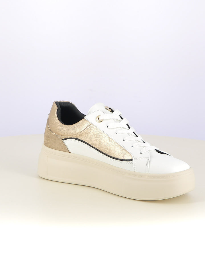 Sneakers stringate donna CARLA KOTE 3601K bianco oro | Costa Superstore