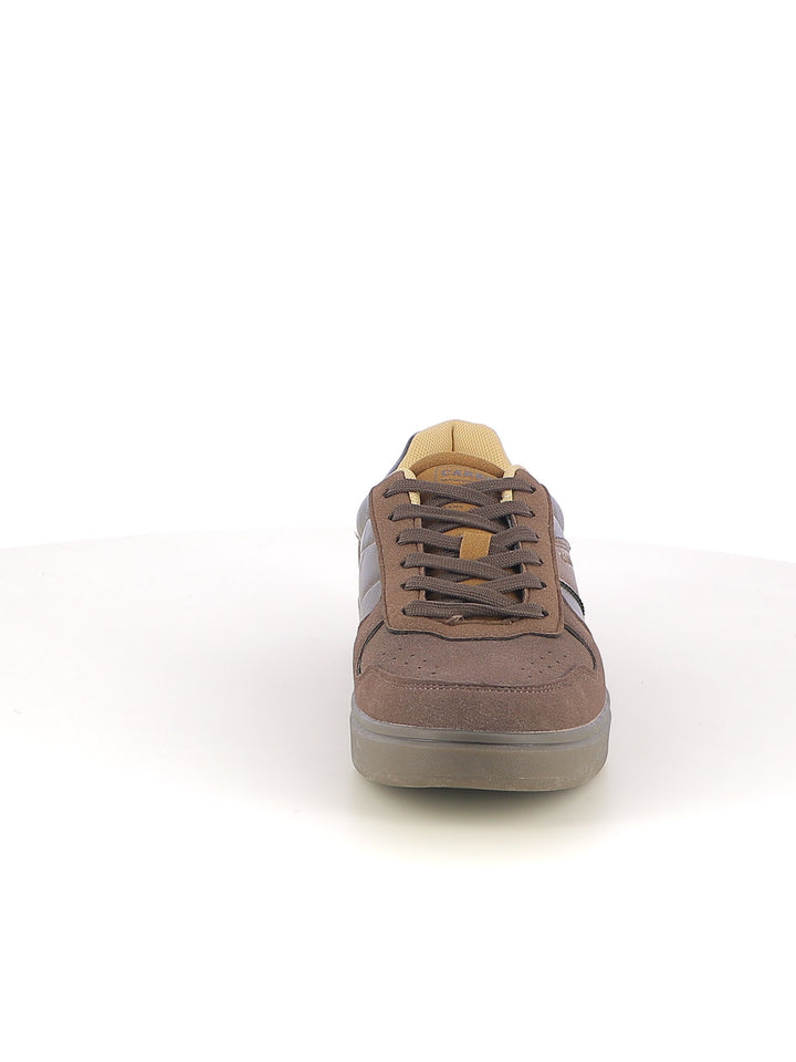 Sneakers stringate uomo CARRERA CAM23908 marrone | Costa Superstore